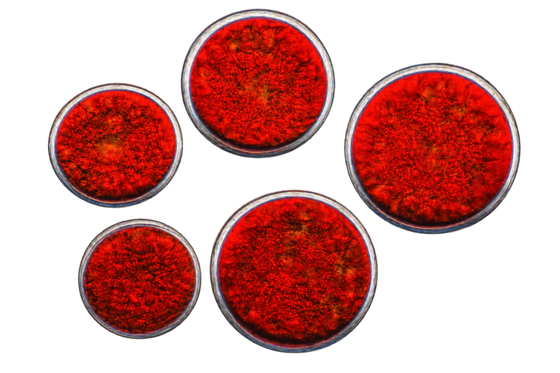 AstaReal® Astaxanthin