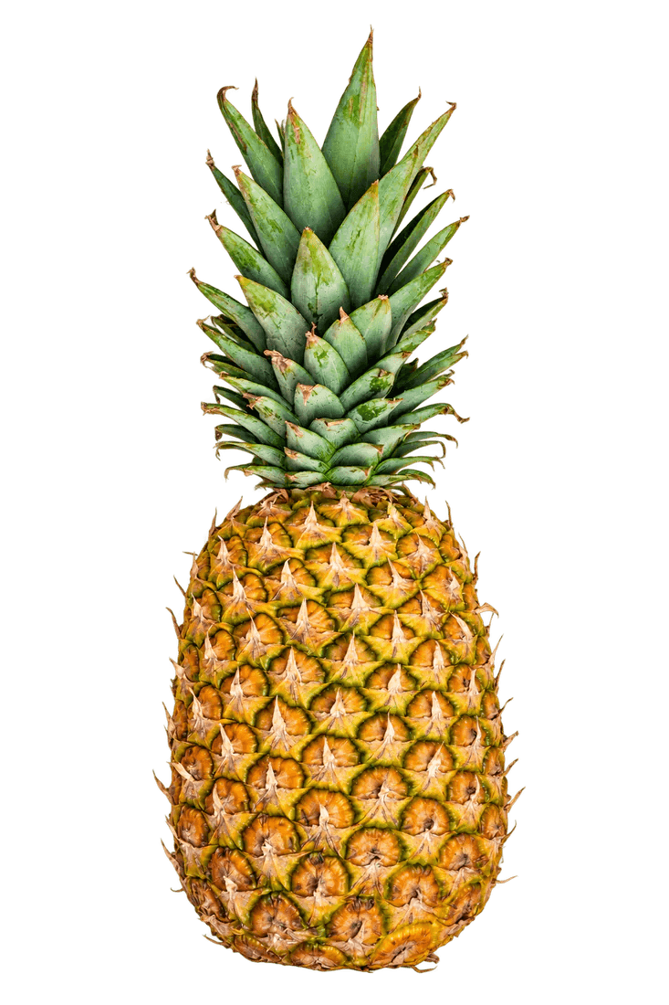 Pineapple Pulp
